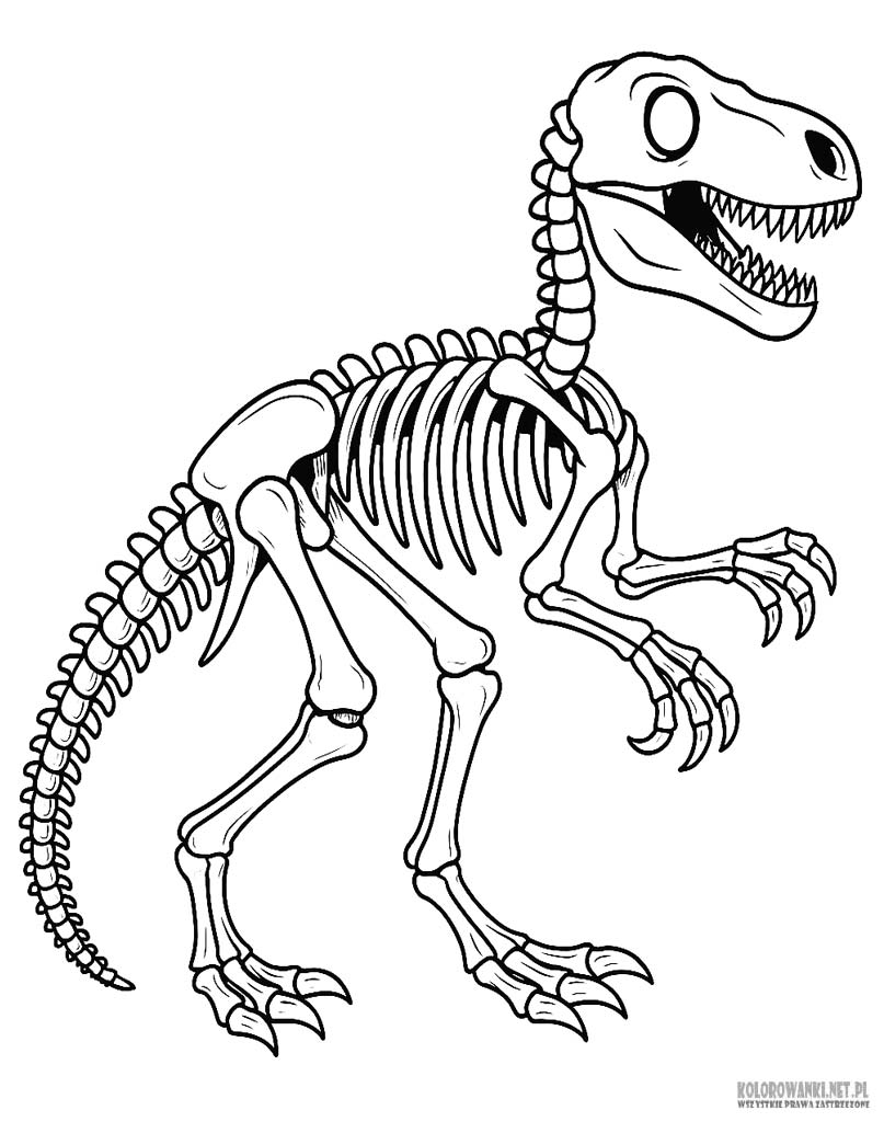 Kolorowanka ze szkieletem dinozaura