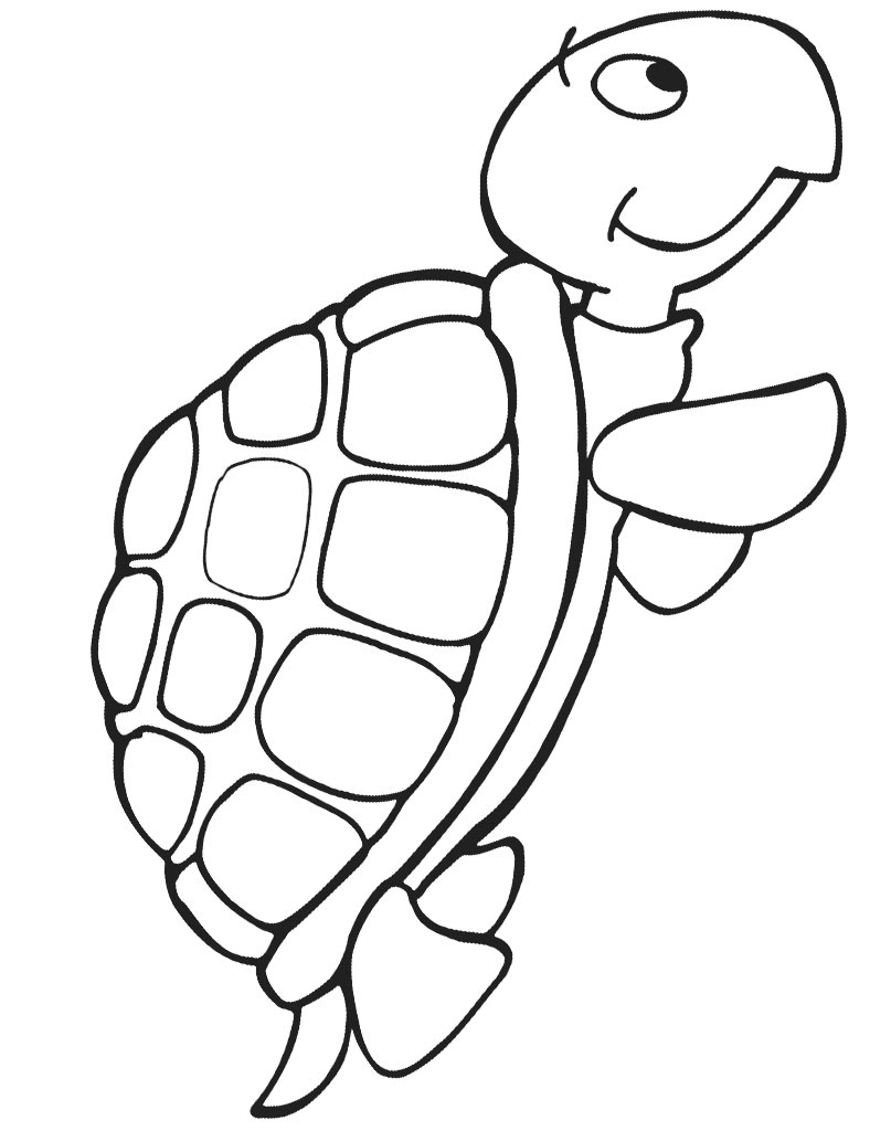 Żółw kolorowanka online dla dzieci