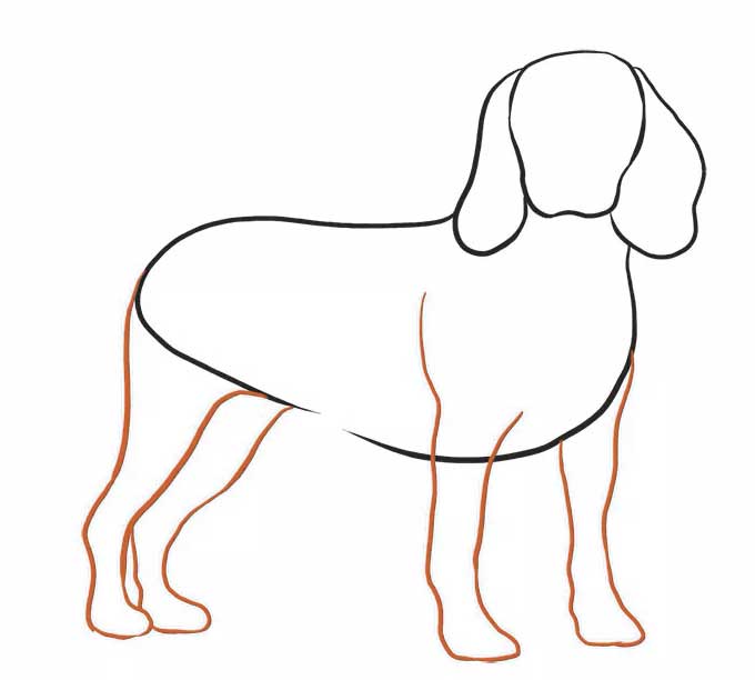 5 jak narysować łapy psa