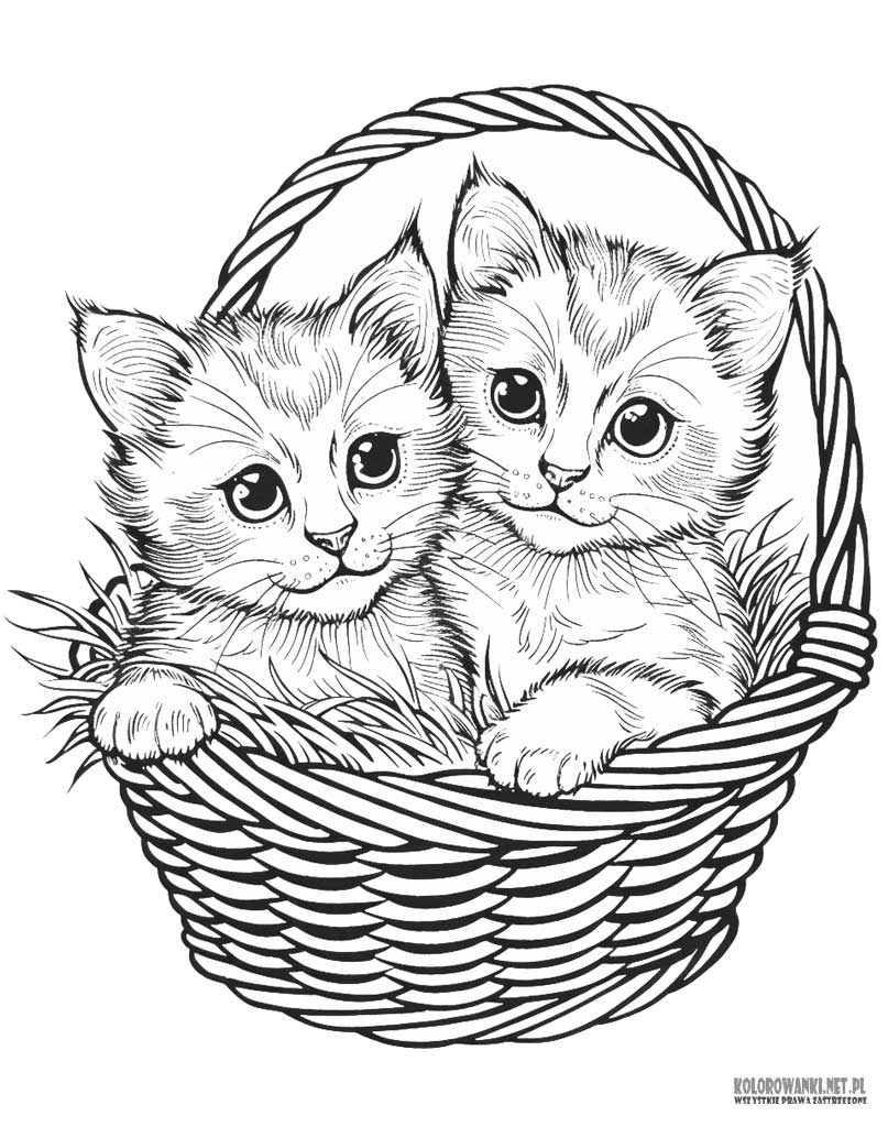 Kotki w koszyku kolorowanki