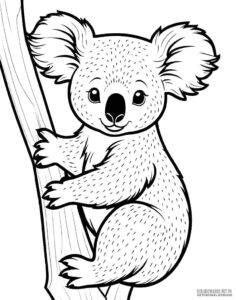 Miś koala kolorowanka do druku
