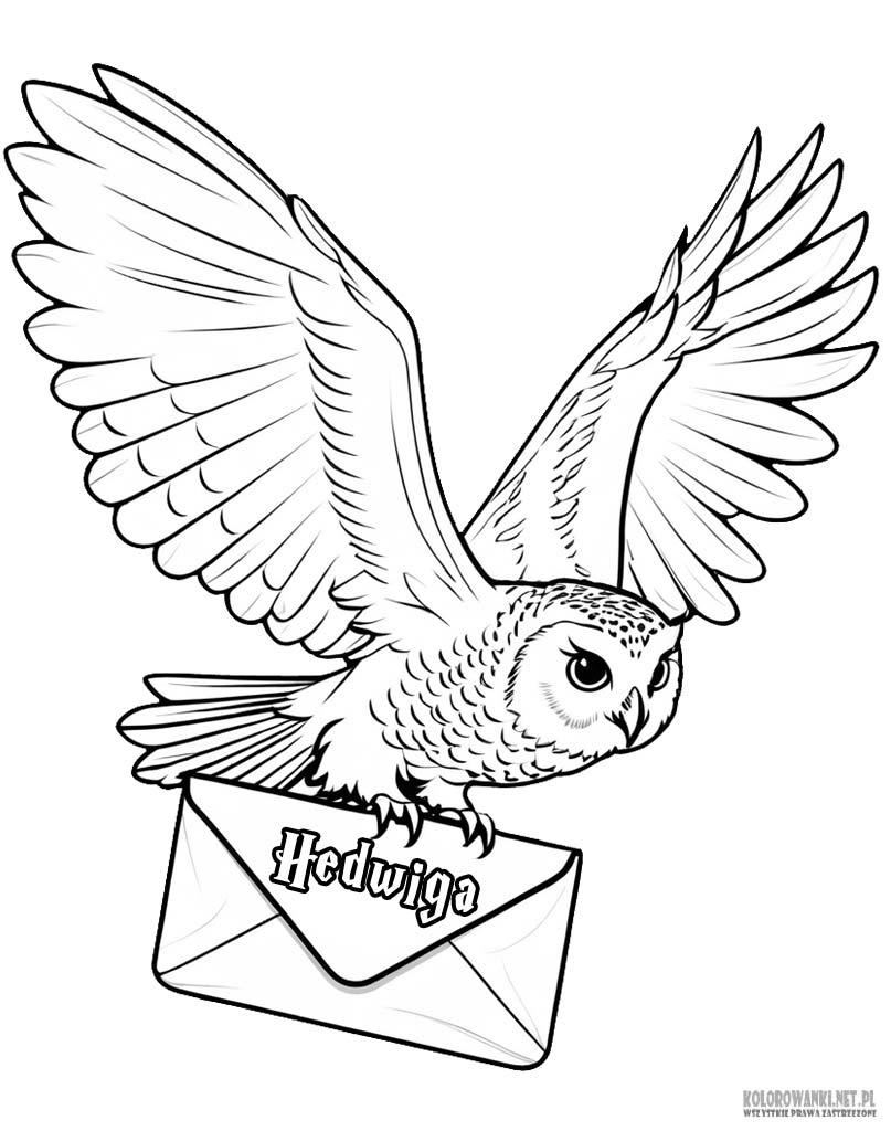 Sowa Hedwiga kolorowanka Harry Potter