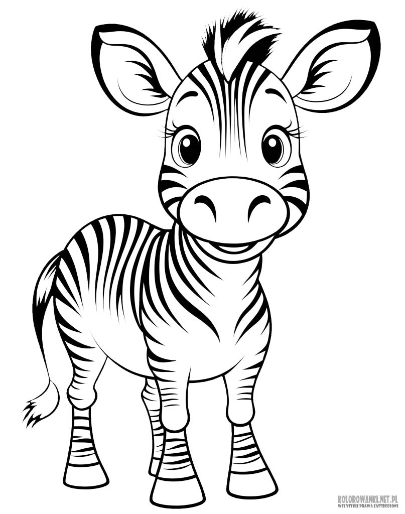 Zebra kolorowanka dla dzieci
