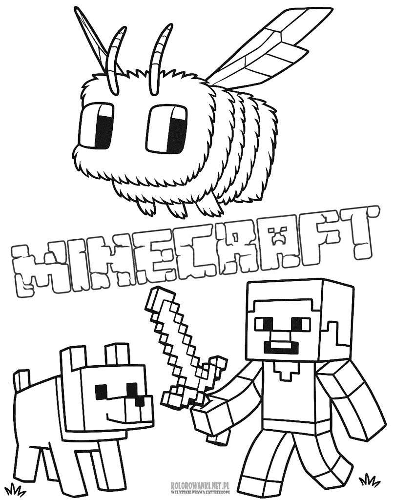 Kolorowanka z filmu Minecraft