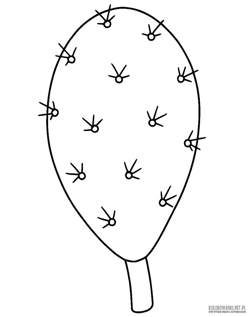 Liść kaktusa kolorowanka